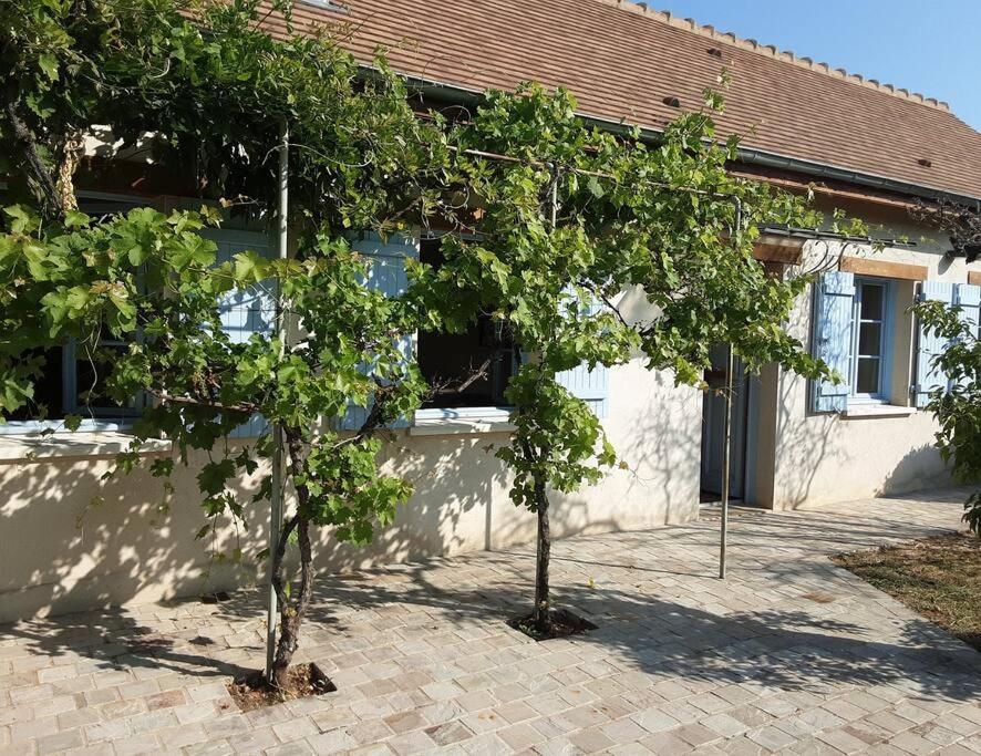 Willa Les Annexes Verdun-sur-le-Doubs Zewnętrze zdjęcie